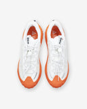 NIKE ACG MOUNTAIN FLY 2 LOW