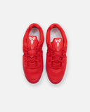 NIKE KOBE IX LOW EM GS