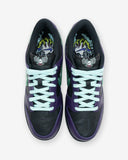 NIKE DUNK LOW RETRO LTD HWN