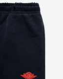 JORDAN AIR JDN RAIR FLEECE PANTS