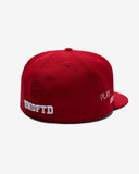 UNDEFEATED x NE ALL OVER FITTED