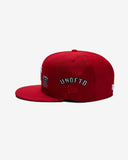 UNDEFEATED x NE ALL OVER FITTED
