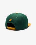 UNDEFEATED PLAY DIRTY SNAPBACK