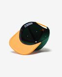 UNDEFEATED PLAY DIRTY SNAPBACK