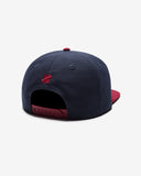 UNDEFEATED PLAY DIRTY SNAPBACK