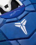 NIKE DIAMOND ELITE CATCHERS SET