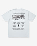 UNDEFEATED TEAM STORE S/S TEE