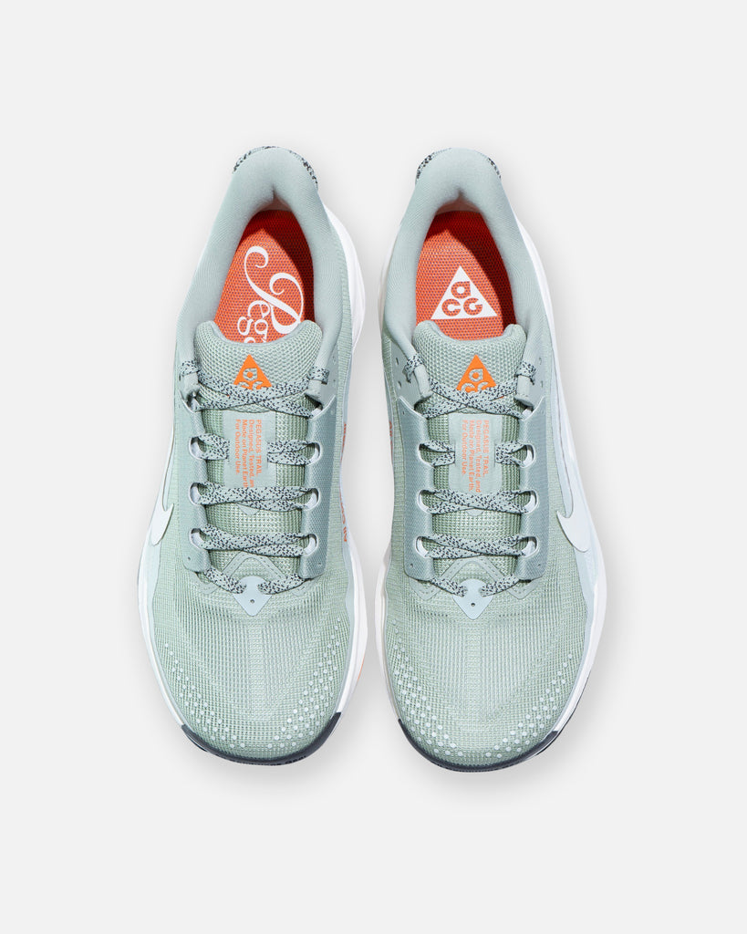 NIKE ACG PEGASUS TRAIL