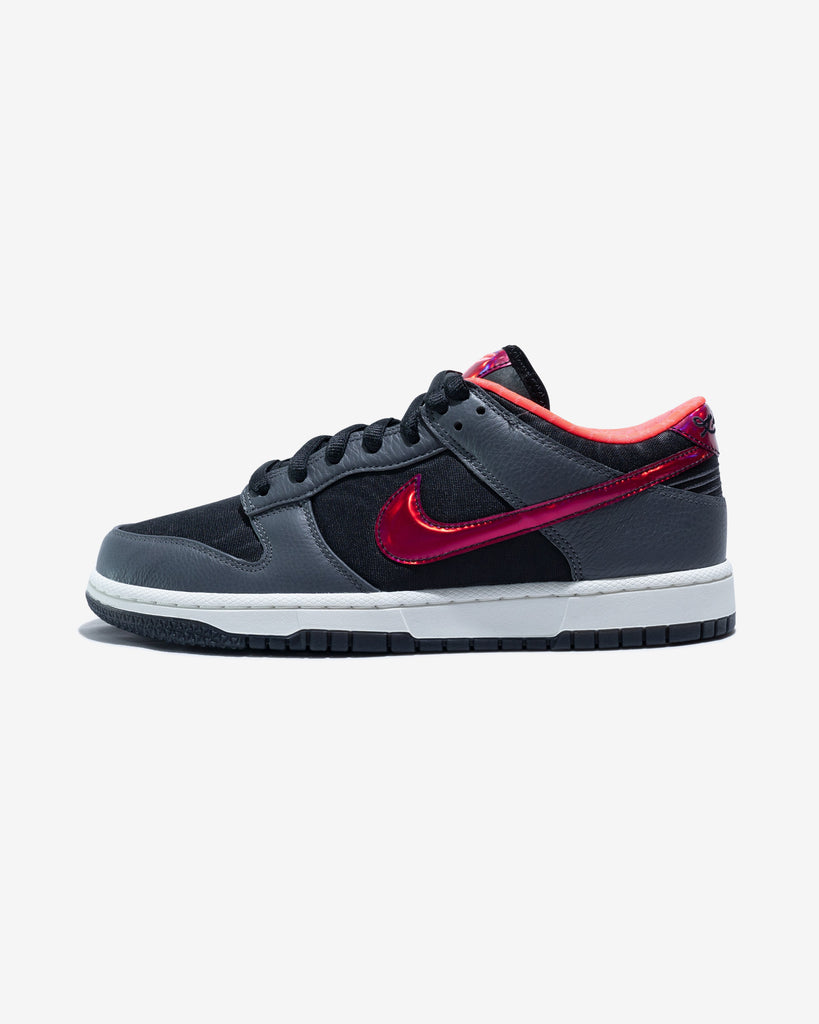 NIKE DUNK LOW PROTRO