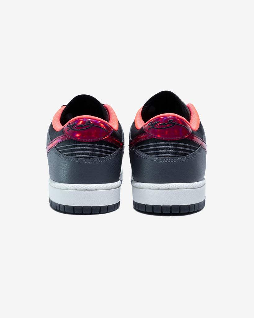 NIKE DUNK LOW PROTRO