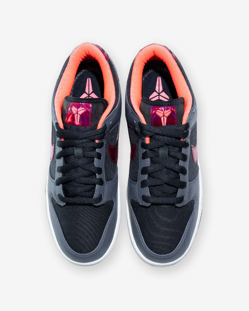 NIKE DUNK LOW PROTRO