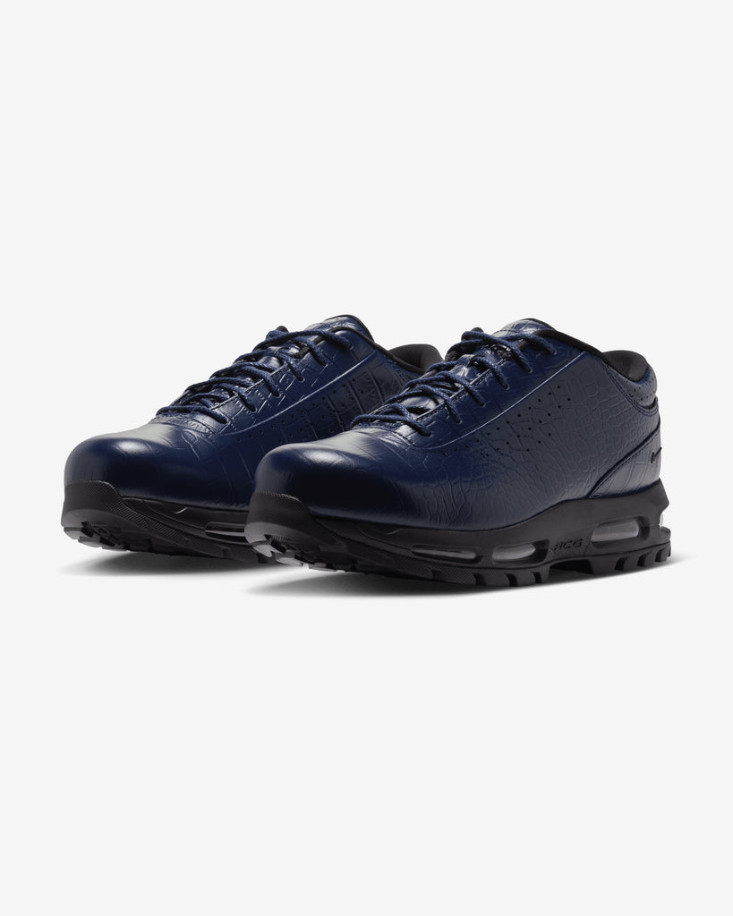 NIKE AIR MAX GOADOME LOW