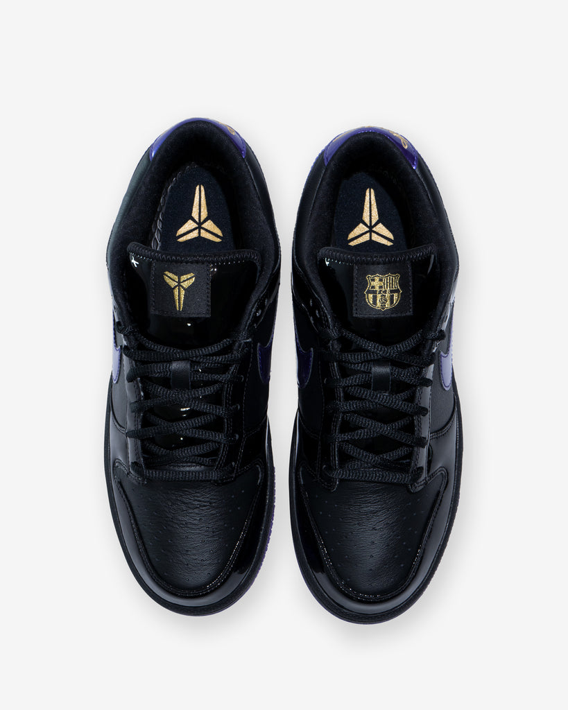 NIKE DUNK LOW PROTRO