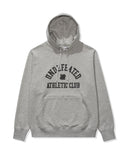 UACTP ARCH PULLOVER HOOD