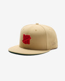 UNDEFEATED X NE CLASSIC ICON FITTED