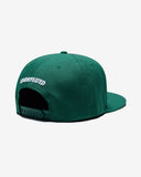 UNDEFEATED X NE STRIPE SNAPBACK